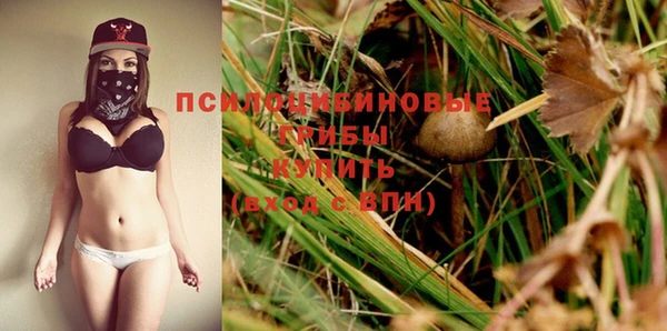 стафф Арсеньев